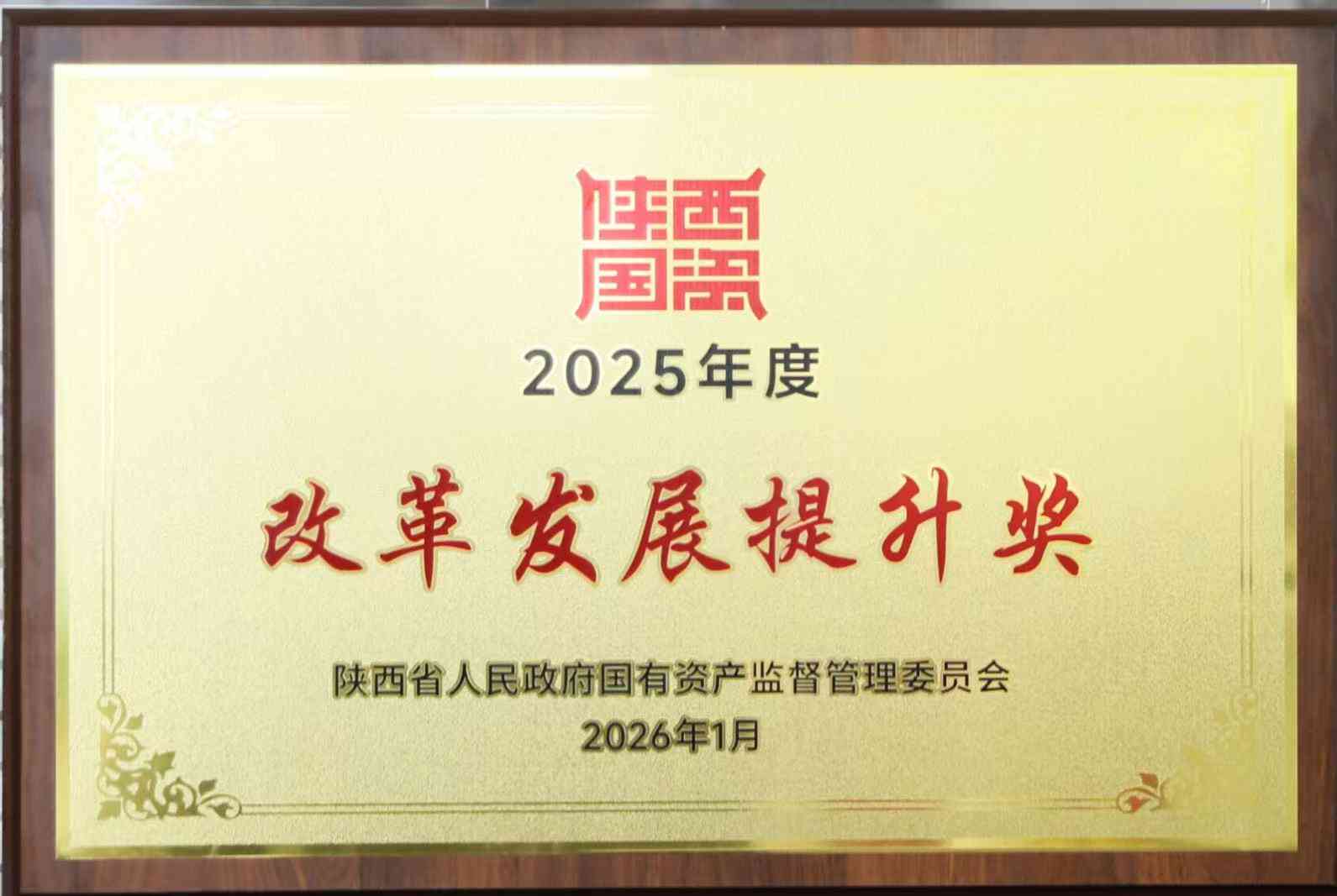 省国资委2025年度改革发展提升奖
