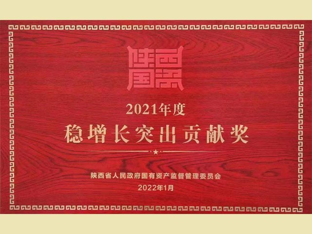 2021年度稳增长突出贡献奖