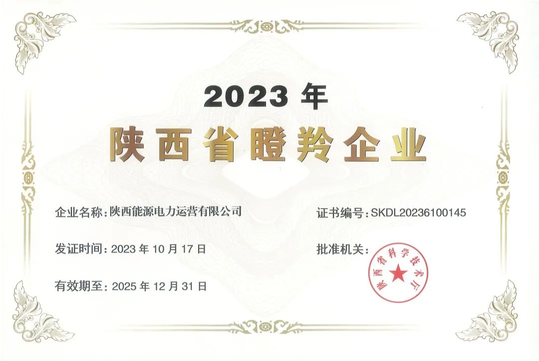 20231208130269.jpg