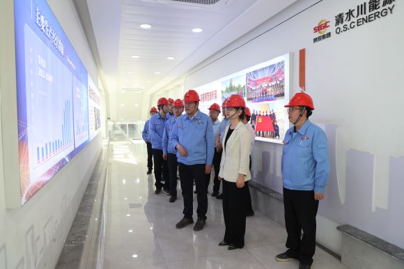 2--集团公司党委副书记、董事刘丽一行到公司督导检查党纪学习教育工作.jpg