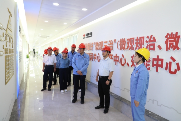 1--集团公司总审计师杨春一行到公司调研指导工作_副本.jpg